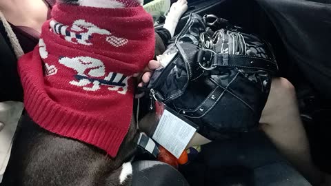 Hecatae. Dealing with her mamma