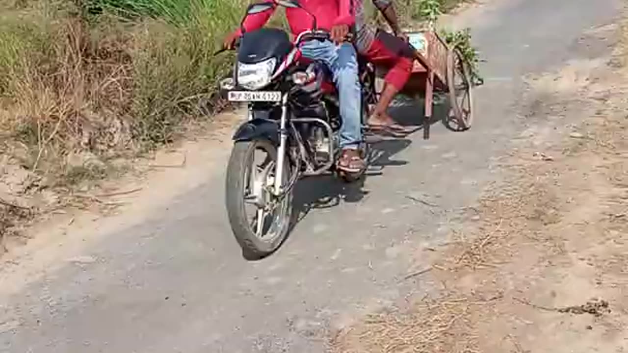 Funny Plantation labour work..