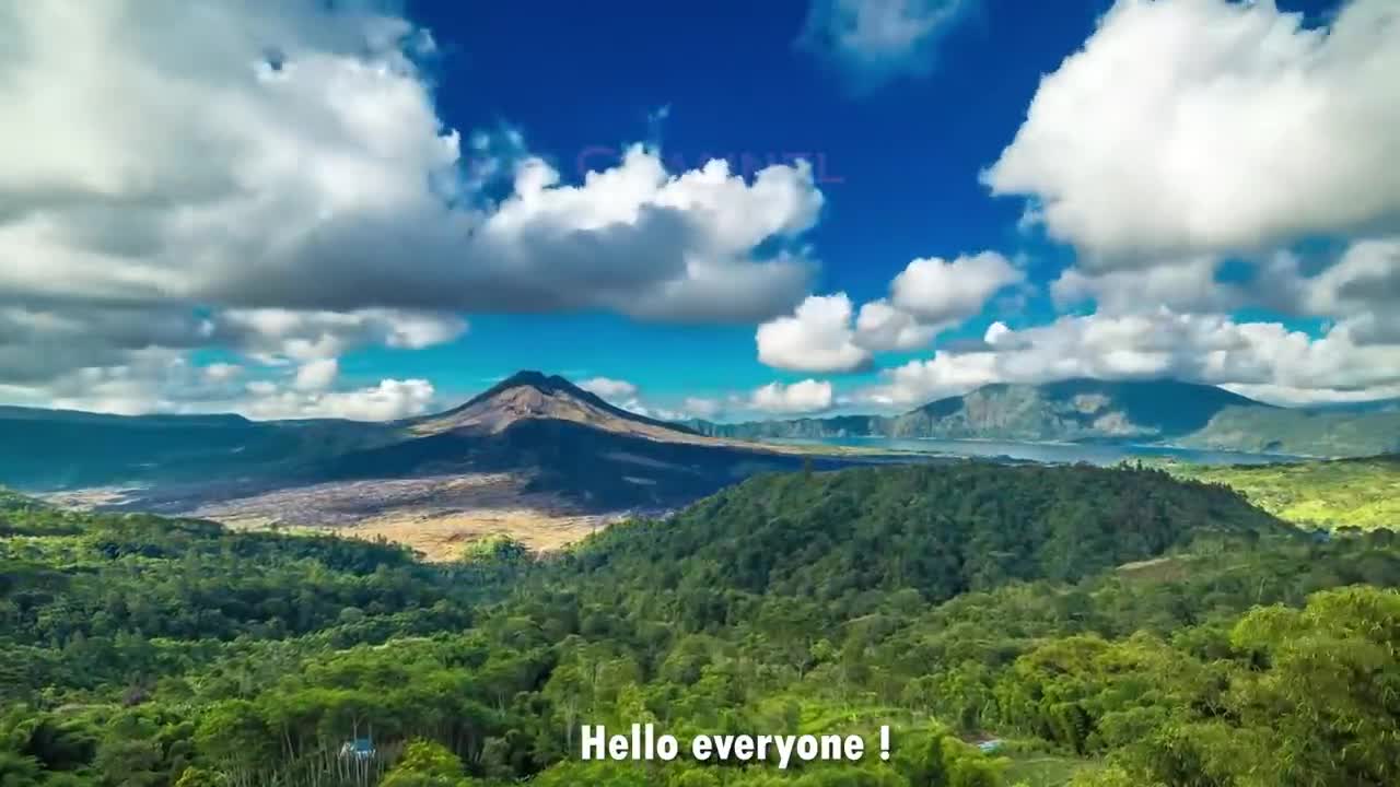 Cinnamon Making Process | Modern Ceylon Cinnamon Harvesting | How Ceylon Cinnamon Is Made