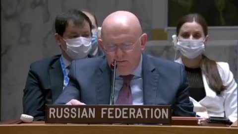 Russia's official presentation to the UN Security Council Session