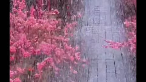 Rain storm weather