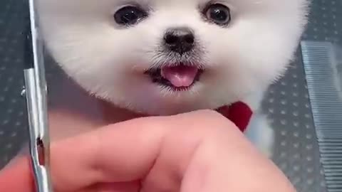 Very cute hair cut
