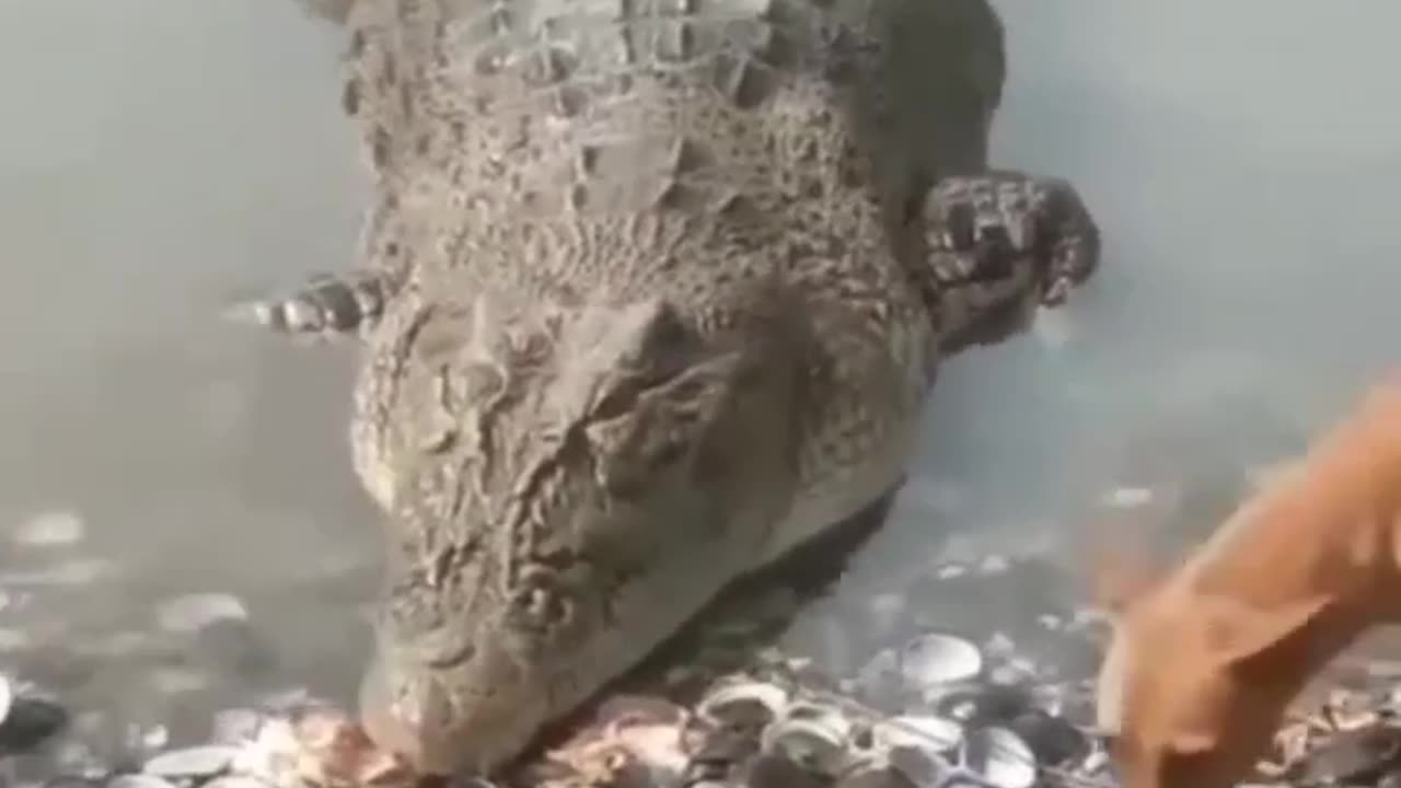 😱😱😱