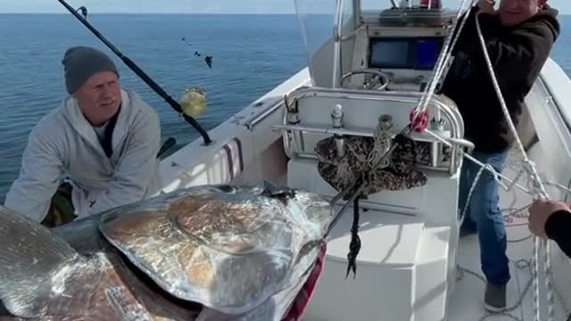 Won't believe your eyes 🐟😨