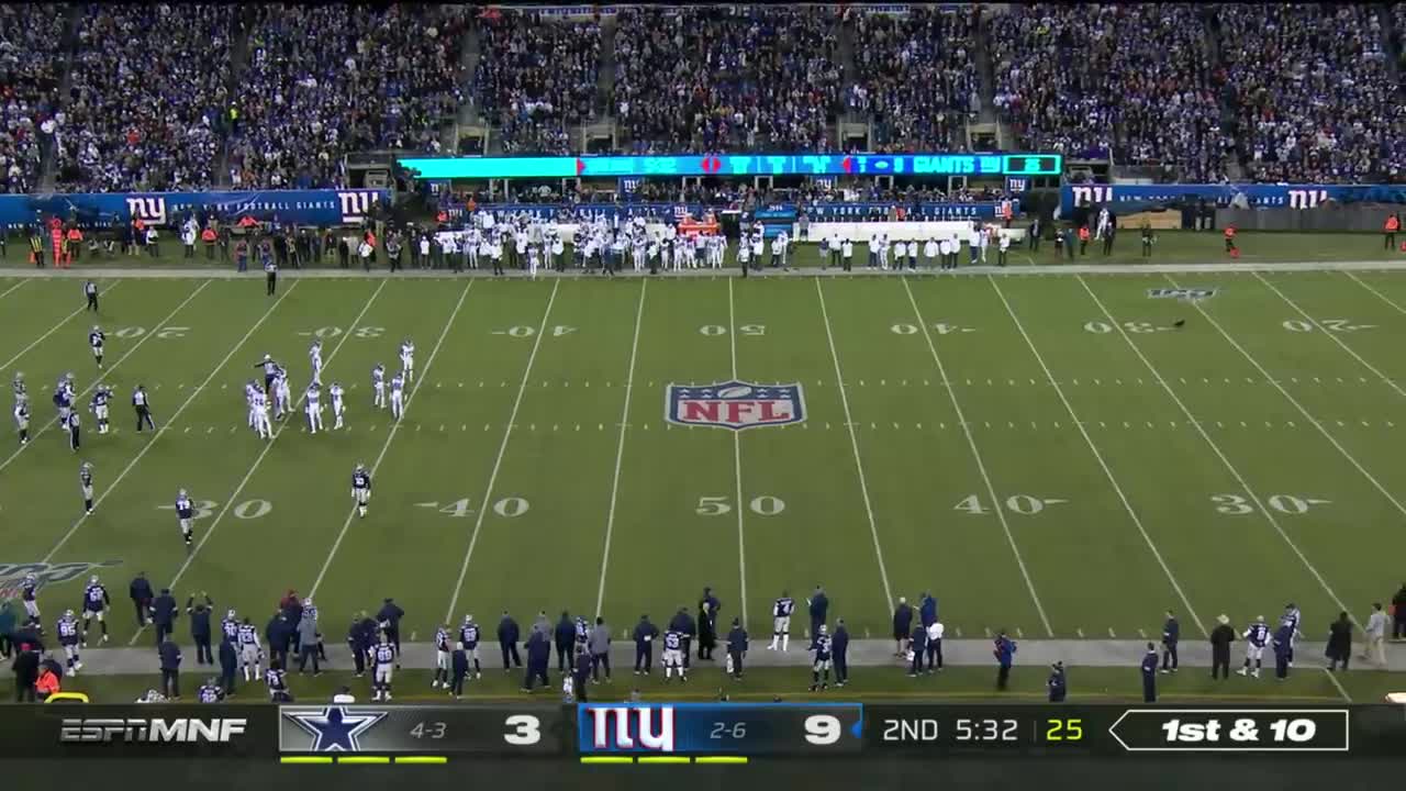 Cat on the Field Scores 50-Yd TD Run! 🐾