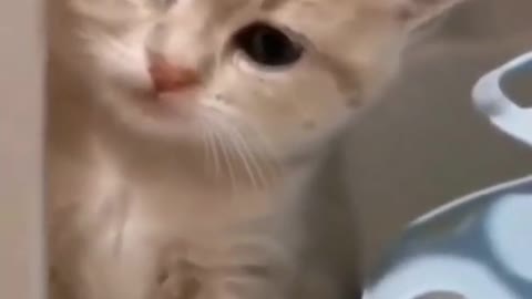 What a Good Sleep