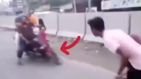 Funny videos