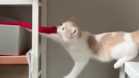 So funny