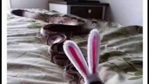 Memes that will make you laugh | Funny Memes 😂😂