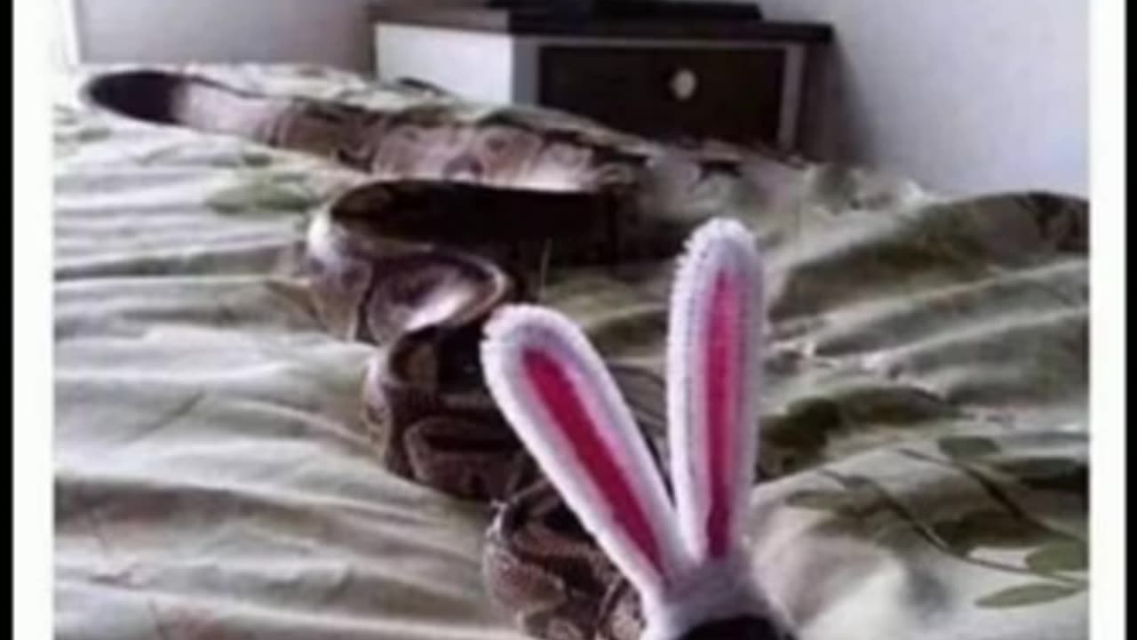 Memes that will make you laugh | Funny Memes 😂😂
