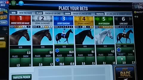 Horse racing at my cousin's