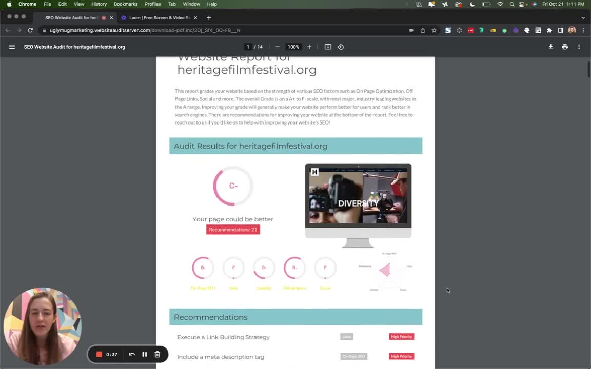 SEO Audit Preview