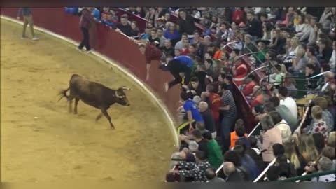 The Funniest Bullfighters in the World || Most awesome bullfighting festival || Try not to #laugh