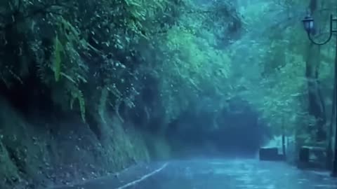 Relaxing Rain & Deep Thunder Nature Sounds for Relax