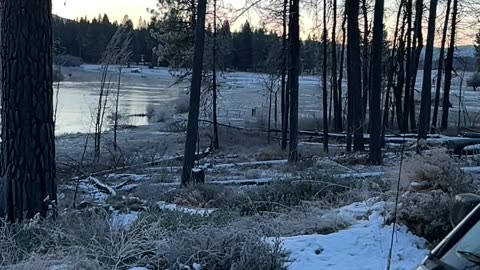 Frozen river