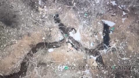 Insane Video of Ukrainians Attacking Russian Trenches From Meters Away