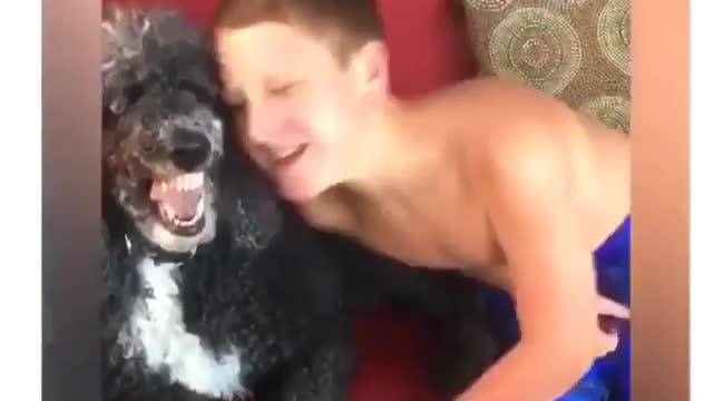 Dogs smiling video will make your day 😃 Happy vibes