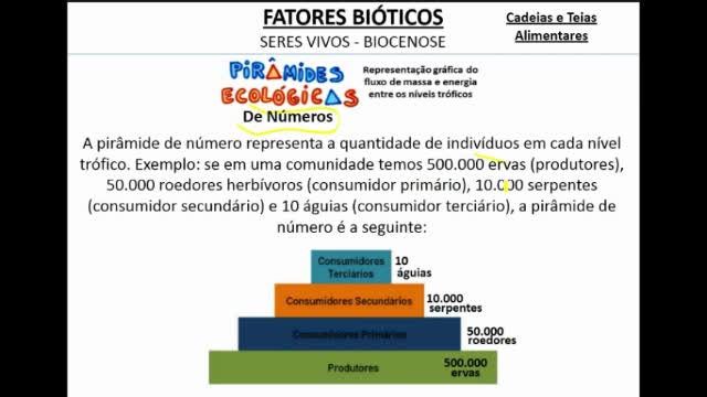 Pirâmides Ecológicas - MinhaEscolaWeb