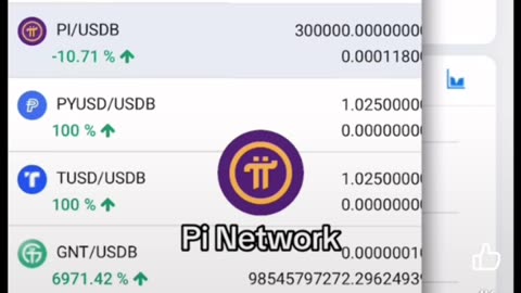 Business pi network