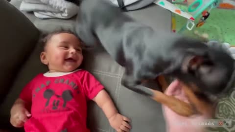 Funniest Baby Videos of the Week - Try Not To Laugh