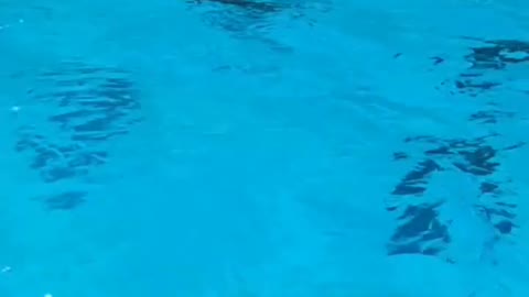 جزيرة سقطرى واحده من اجمل جزر العالم