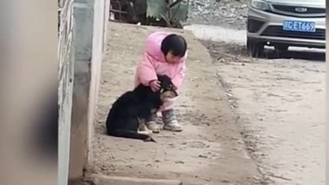 The little girl covered her dog's ears when there was a firecracker.. the action says it all