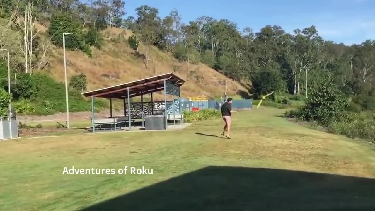 Playing chase outside with a Pet Parrot