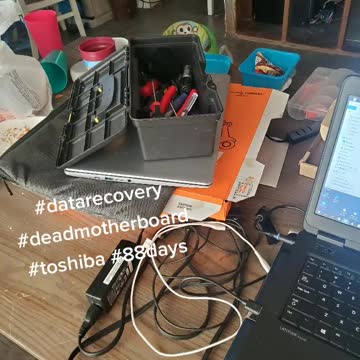 3D-7D Life Mental Coach Red Pill