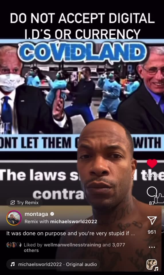 THE VIDEO THEY DON'T LIKE MUCH