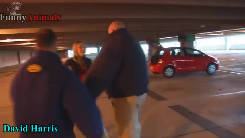 Dogs Protecting Their Owners - Dogs that are better than guns! [ Dog Training ]