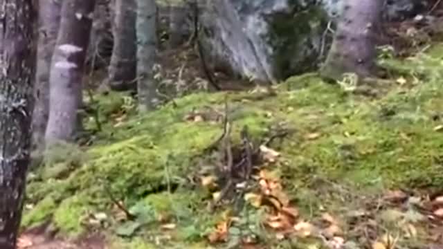 earthquake