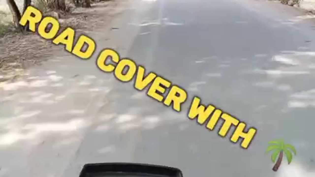 Road Cover With Trees