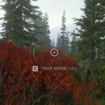 Why Harley Quinn... Hunter Call of the Wild