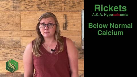Rickets in chickens - causes andprevention