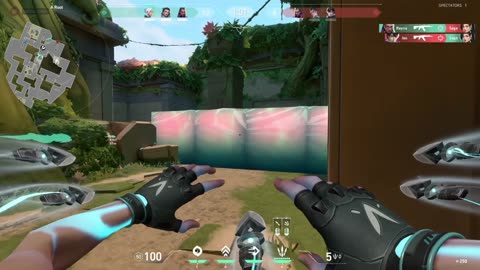 Valorant Game