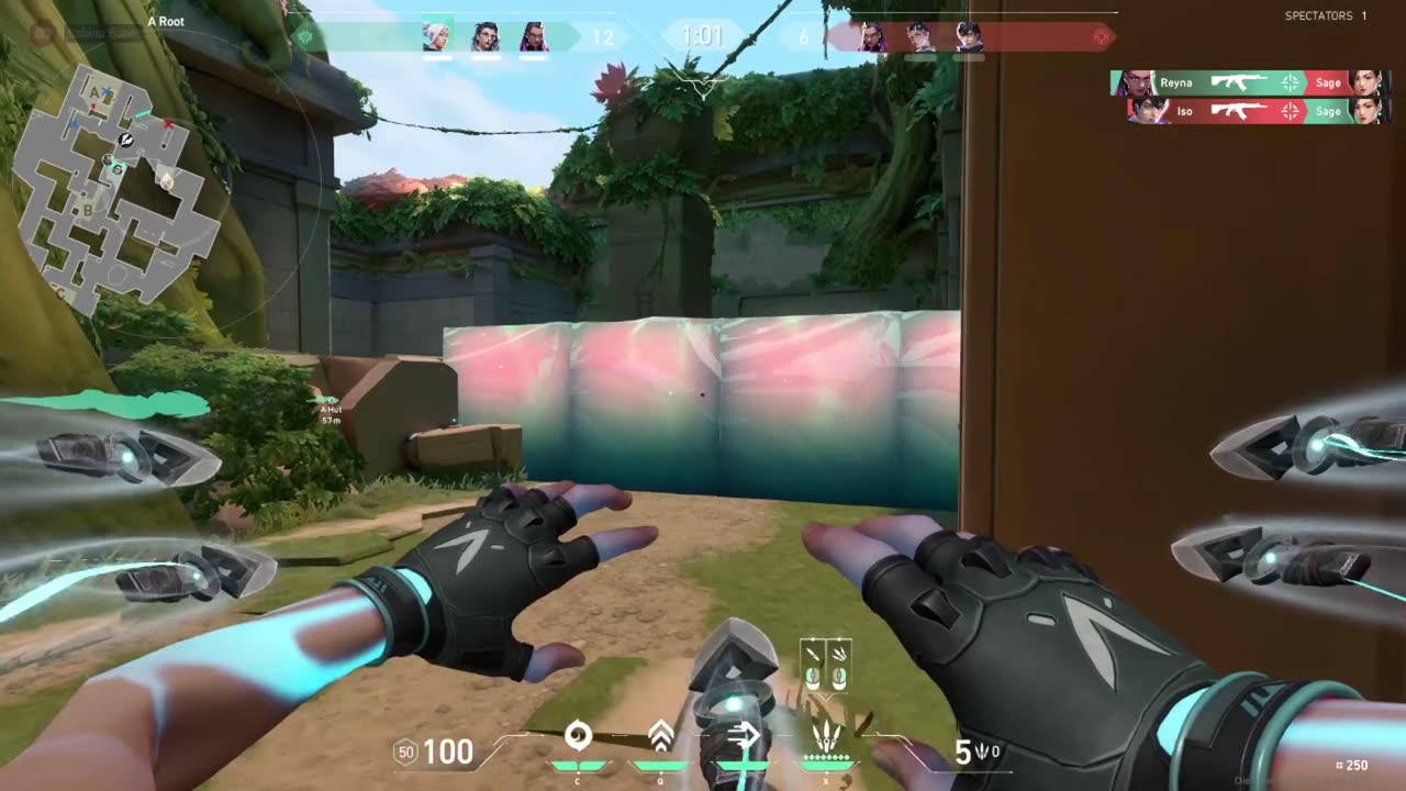 Valorant Game