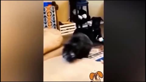 😍Cute Pets Unleashed： Funny Cats🐱and Dogs🐶 Compilation #1