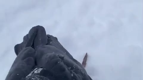 Это интересно. Команды Ворона Гоша знает.