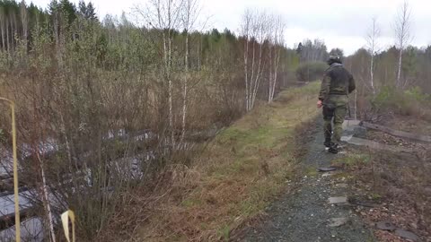 Deer In Swamp Rescue