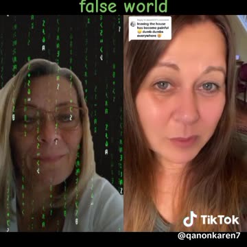 The Awake In This False World