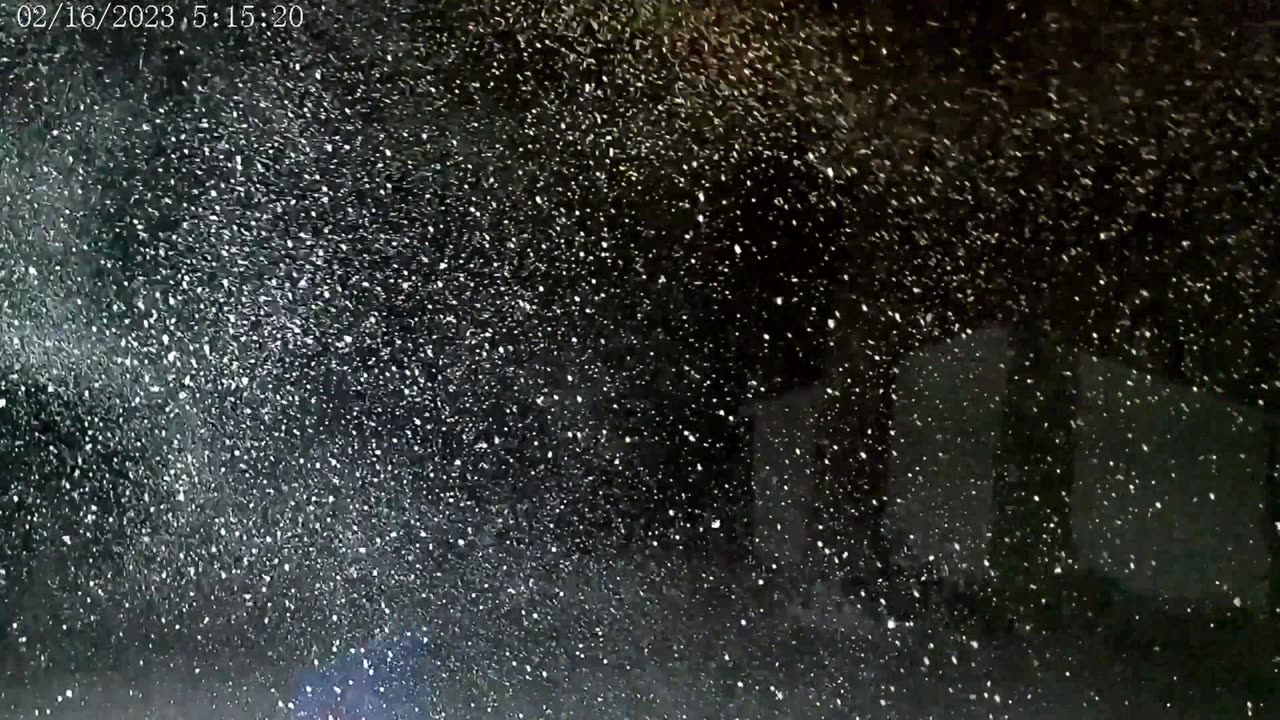BLIZZARD OF 2-2023