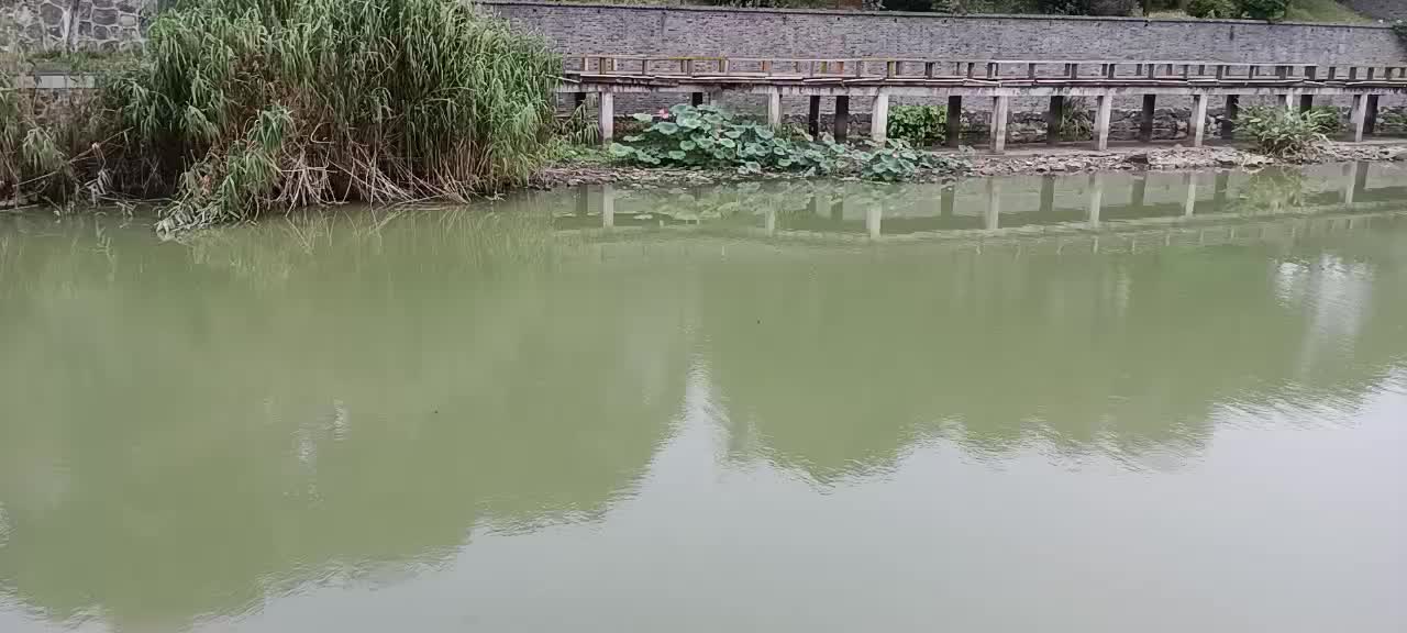 Breath of nature, refreshing lake