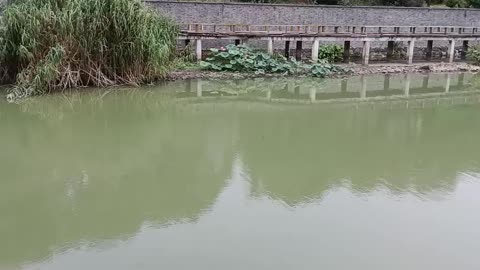 Breath of nature, refreshing lake