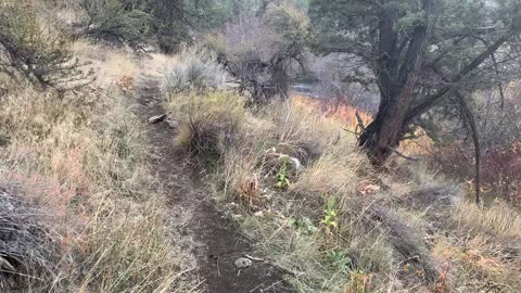 Central Oregon – Steelhead Falls – Hiking in the High Desert