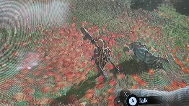 BOTW Glitch 1 Pitar