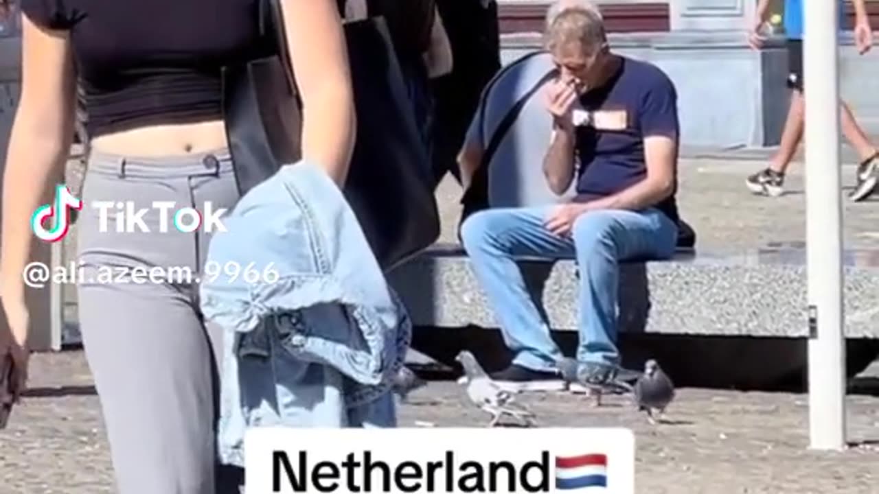 Beauty Enjoying Culture of People in Netherlands