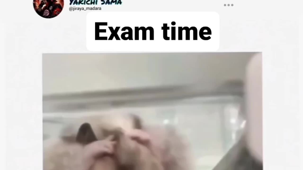 My friends in exam time