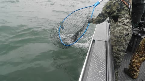 CHINOOK FISHING ASTORIA OREGON COLUMBIA RIVER