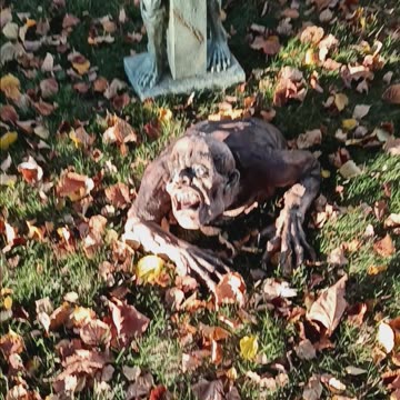 Halloween decorations