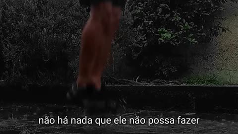 Último homem de pé